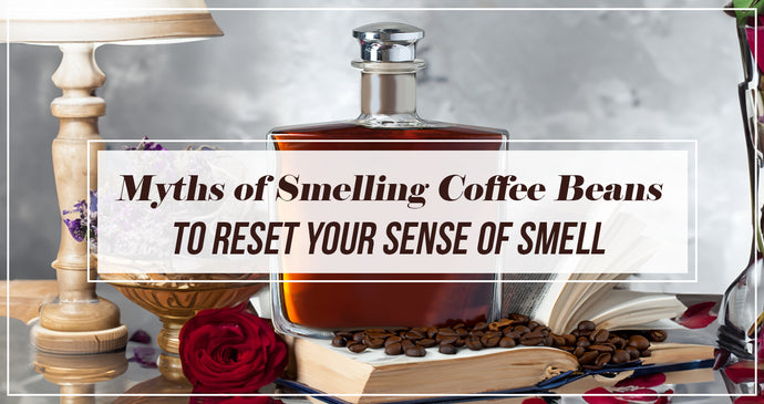 Myths of Smelling Coffee Beans to Reset Your Sense of Smell